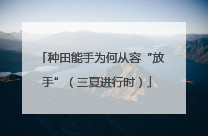 种田能手为何从容“放手”（三夏进行时）