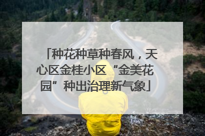 种花种草种春风，天心区金桂小区“金美花园”种出治理新气象
