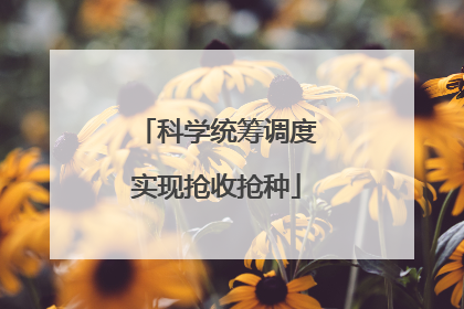 科学统筹调度实现抢收抢种