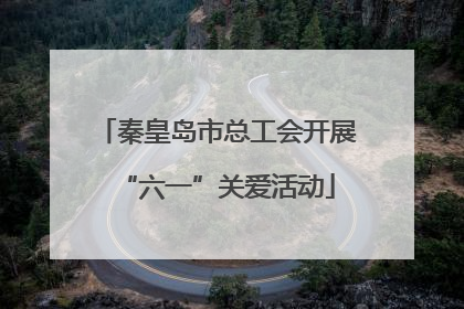 秦皇岛市总工会开展“六一”关爱活动