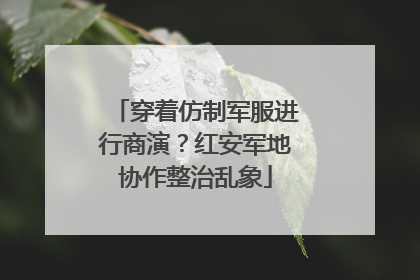 穿着仿制军服进行商演？红安军地协作整治乱象