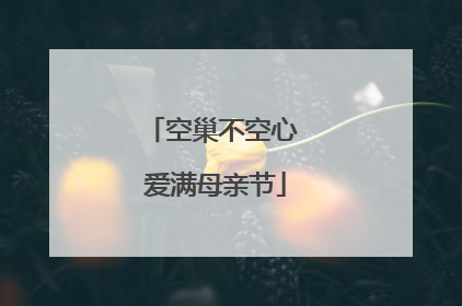 空巢不空心 爱满母亲节