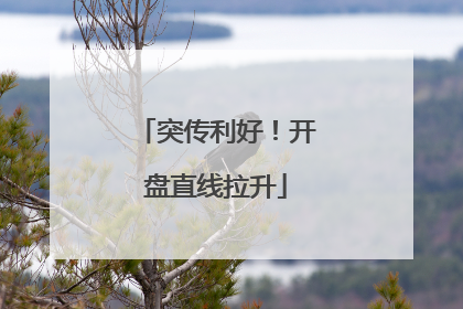 突传利好！开盘直线拉升