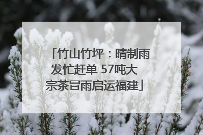 竹山竹坪：晴制雨发忙赶单 57吨大宗茶冒雨启运福建
