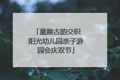 童趣古韵交织 阳光幼儿园亲子游园会庆双节