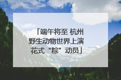 端午将至 杭州野生动物世界上演花式“粽”动员