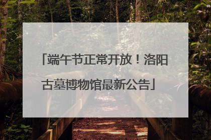 端午节正常开放！洛阳古墓博物馆最新公告