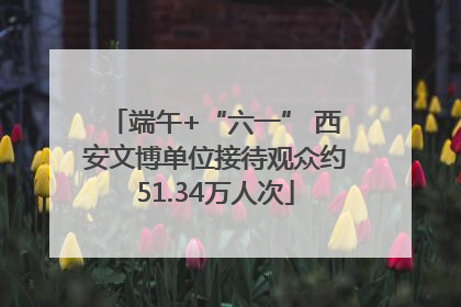 端午+“六一” 西安文博单位接待观众约51.34万人次