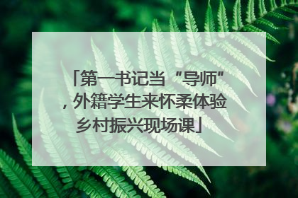 第一书记当“导师”，外籍学生来怀柔体验乡村振兴现场课
