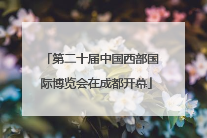 第二十届中国西部国际博览会在成都开幕
