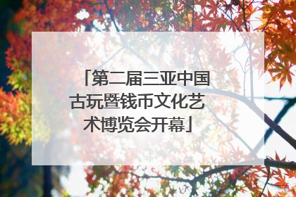 第二届三亚中国古玩暨钱币文化艺术博览会开幕