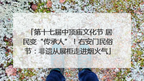第十七届中顶庙文化节 居民变“传承人”！右安门民俗节：非遗从展柜走进烟火气