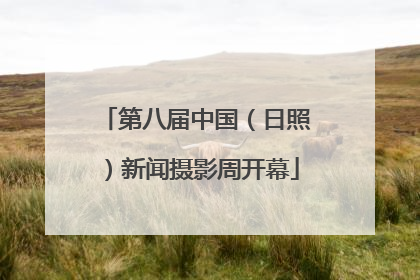 第八届中国（日照）新闻摄影周开幕