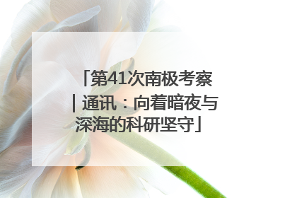 第41次南极考察｜通讯：向着暗夜与深海的科研坚守
