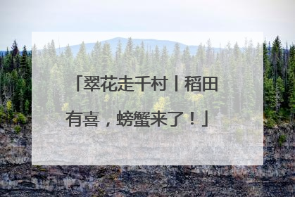 翠花走千村丨稻田有喜，螃蟹来了！