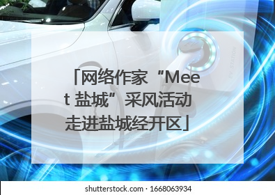 网络作家“Meet 盐城”采风活动走进盐城经开区