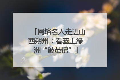 网络名人走进山西朔州：看塞上绿洲“破茧记”