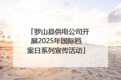 罗山县供电公司开展2025年国际档案日系列宣传活动