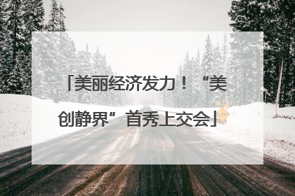 美丽经济发力！“美创静界”首秀上交会
