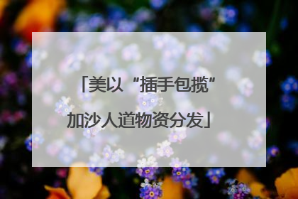 美以“插手包揽”加沙人道物资分发