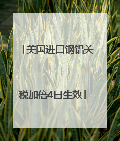 美国进口钢铝关税加倍4日生效