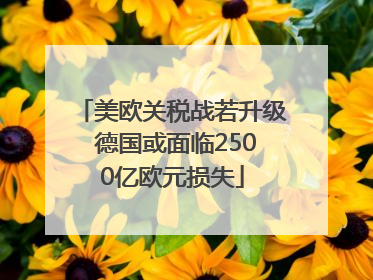 美欧关税战若升级 德国或面临2500亿欧元损失