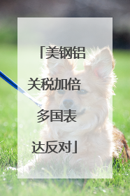 美钢铝关税加倍 多国表达反对