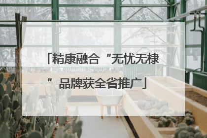 精康融合“无忧无棣”品牌获全省推广