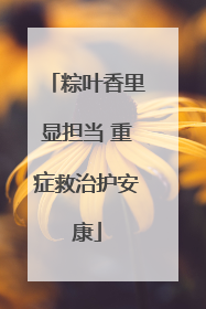 粽叶香里显担当 重症救治护安康