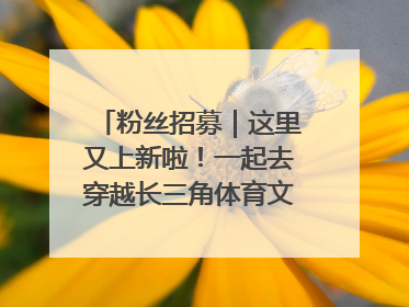 粉丝招募｜这里又上新啦！一起去穿越长三角体育文化时空吧