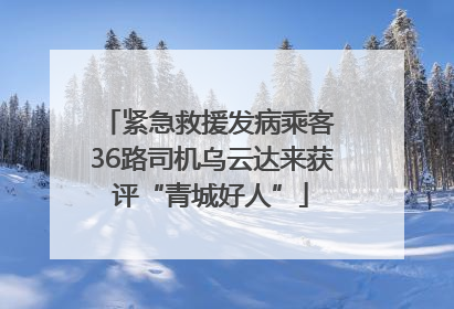 紧急救援发病乘客 36路司机乌云达来获评“青城好人”