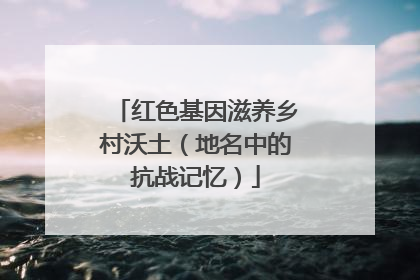 红色基因滋养乡村沃土（地名中的抗战记忆）