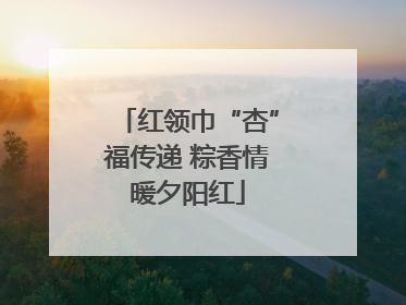 红领巾“杏”福传递 粽香情暖夕阳红