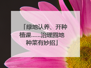 绿地认养、开种植课……治理圈地种菜有妙招