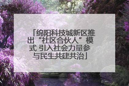 绵阳科技城新区推出“社区合伙人”模式 引入社会力量参与民生共建共治
