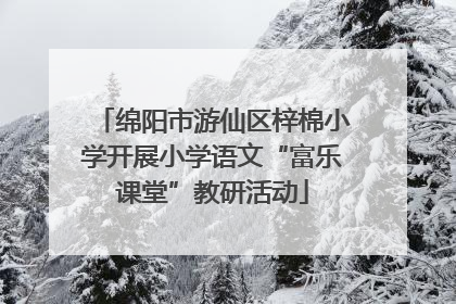 绵阳市游仙区梓棉小学开展小学语文“富乐课堂”教研活动