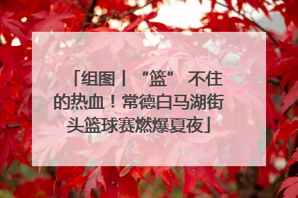 组图丨“篮” 不住的热血！常德白马湖街头篮球赛燃爆夏夜
