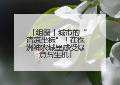 组图丨城市的“清凉坐标”！在株洲神农城里感受绿意与生机