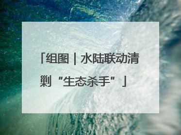 组图｜水陆联动清剿“生态杀手”