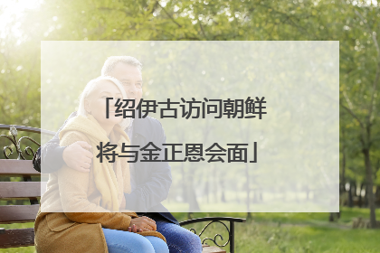 绍伊古访问朝鲜 将与金正恩会面