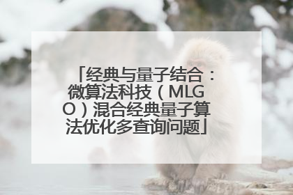 经典与量子结合：微算法科技（MLGO）混合经典量子算法优化多查询问题