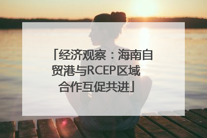 经济观察：海南自贸港与RCEP区域合作互促共进