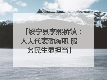 绥宁县李熙桥镇：人大代表勤履职 服务民生显担当