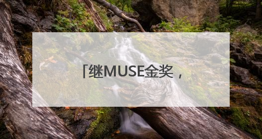 继MUSE金奖，深谋“美猴王”再揽国际红点设计大奖