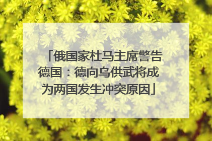 俄国家杜马主席警告德国：德向乌供武将成为两国发生冲突原因