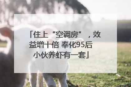 住上“空调房”，效益增十倍 奉化95后小伙养虾有一套