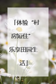 体验“村房短住” 乐享田园生活