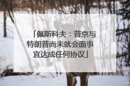 佩斯科夫：普京与特朗普尚未就会面事宜达成任何协议