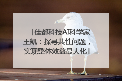 佳都科技AI科学家王凯：探寻共性问题，实现整体效益最大化