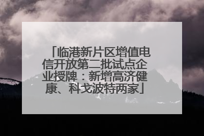 临港新片区增值电信开放第二批试点企业授牌：新增高济健康、科戈波特两家